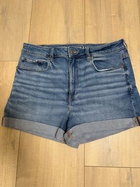 American Eagle Outfitters Medium Blue Mom Shorts